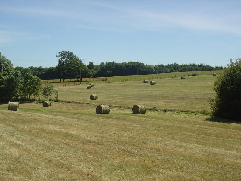 Gesnes-le-GandelinMaison Ensoleillee -别墅 外观 照片